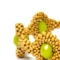 Beaded Frames Class