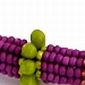 Colourful Herringbone Rope
