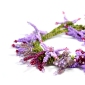 Crystal Flowers