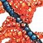 Orange Fringed Spiral Rope